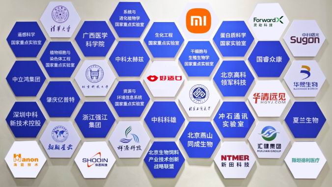 1765173268163090.jpg 6.jpg