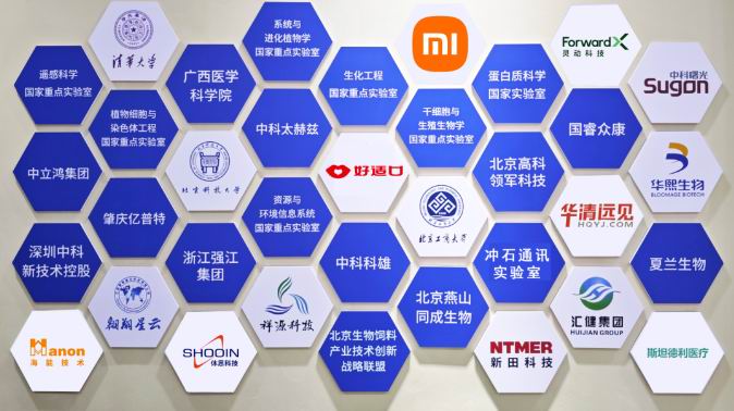 1765173672106533.jpg 4.jpg